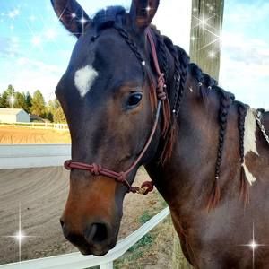 Meet your Posher, Teresa